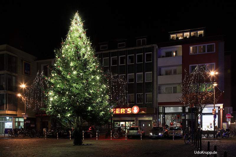 Weihnachtsbaum vor St. Severin